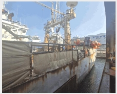  2025Ÿ1855 ׺ũ          ڰ