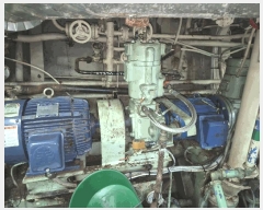  2025Ÿ1855 ׺ũ          ڰ