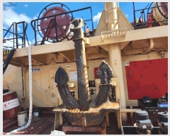  2025Ÿ2568 𺸽          ڰ