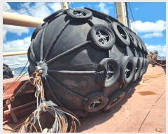  2025Ÿ2568 𺸽          ڰ