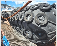  2025Ÿ2568 𺸽          ڰ