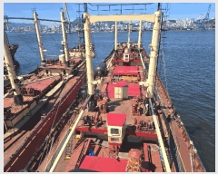  2025Ÿ2575 𺸽          ڰ