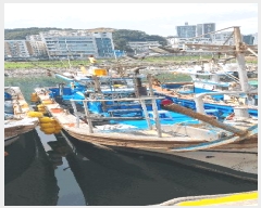  2025Ÿ3059 λ  ϸ        ڰ