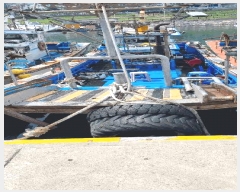  2025Ÿ3059 λ  ϸ        ڰ