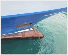  2025Ÿ21411 λ  ûе 217-37       ڰ