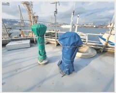  2025Ÿ21411 λ  ûе 217-37       ڰ