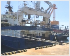  2025Ÿ22178 λ ϱ  495-6       ڰ