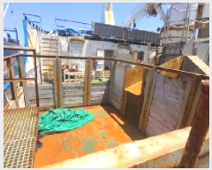  2025Ÿ22178 λ ϱ  495-6       ڰ