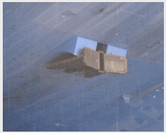  2025Ÿ��22650 ���� ���ֽ�         ���ڰ��