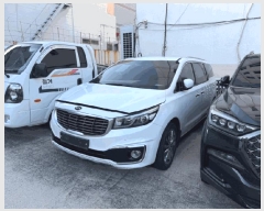  2025Ÿ��22729  �������