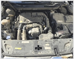  2025Ÿ22996 λ  ̳ 73  (051-503-8996)     