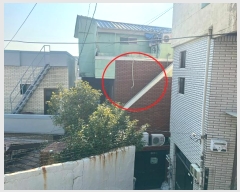  2025Ÿ��142  �������