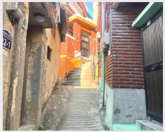  2025Ÿ��142  �������