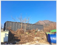  2025Ÿ203 λ  α 1156-5       (1)