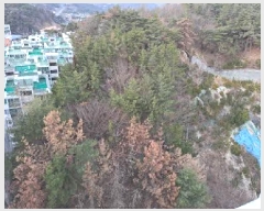  2025Ÿ��203 �λ� ������ û�浿 ��27-12       ����(�Ӿ�)���