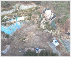  2025Ÿ203 λ  α 1156-5       (1)