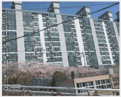  2025Ÿ��1268  ����Ʈ���