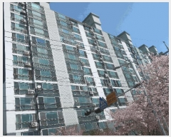  2025Ÿ��1268  ����Ʈ���