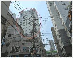  2025Ÿ��1985  ���ǽ��ڰ��