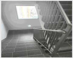  2025Ÿ��2148  ����Ʈ���