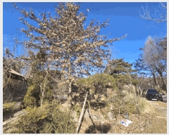  2025Ÿ��21456  ����