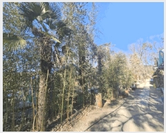  2025Ÿ��21456  ����