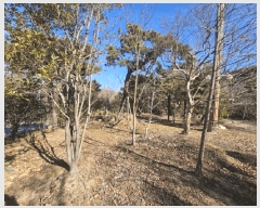  2025Ÿ��21456  ����