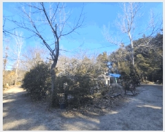  2025Ÿ��21456  ����