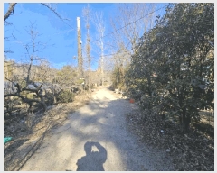  2025Ÿ��21456  ����