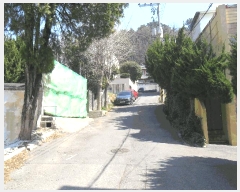  2025Ÿ��21523 �λ� �λ����� ������ 316-17       ����(����)���