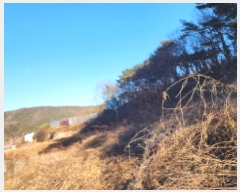  2025Ÿ��411 ��� ���ֱ� �μ��� ��ȣ�� 776-1      ����(��)���