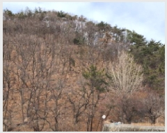  2025Ÿ��749 ��� ���ֱ� ���̸� �뺹�� 31-32      ����(�Ӿ�)���