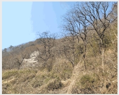  2025Ÿ��994 �泲 ���� ������ ���� 536-2      ����(����)���