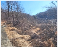  2025Ÿ��11138 ��� ���ֱ� ������ �λ긮 964      ����(��)���