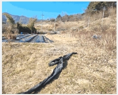  2025Ÿ��11297 �泲 ���� �� 1309       ����(��1)���