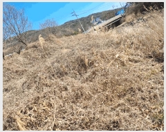  2025Ÿ��11297 �泲 ���� �� 1309       ����(��1)���