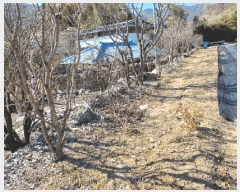  2025Ÿ��11297 �泲 ���� �� 1309       ����(��1)���