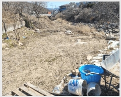  2025Ÿ��11297 �泲 ���� �� 1309       ����(��1)���