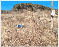  2025Ÿ��11297 �泲 ���� �� 1309       ����(��1)���