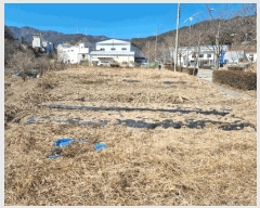  2025Ÿ��11297 �泲 ���� �� 1309       ����(��1)���