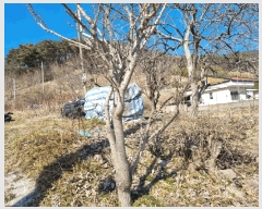  2025Ÿ��11297 �泲 ���� �� 1309       ����(��1)���