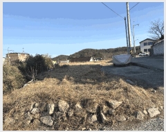  2025Ÿ��11303  ����