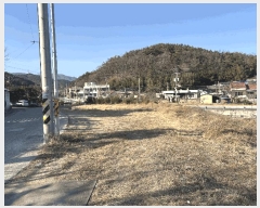  2025Ÿ��11303  ����