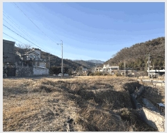  2025Ÿ��11303  ����