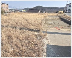  2025Ÿ��11303  ����