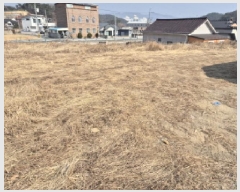  2025Ÿ��11303  ����