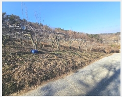  2025Ÿ��91  �Ӿ߰��