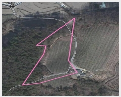  2025Ÿ��91  �Ӿ߰��