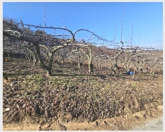  2025Ÿ��91  �Ӿ߰��