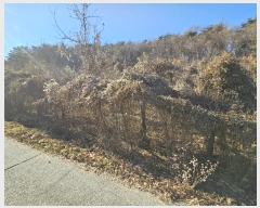  2025Ÿ��91  �Ӿ߰��